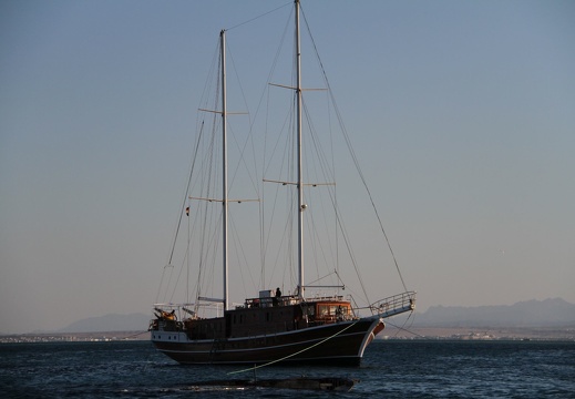 IMG 0749