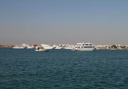 IMG 0852