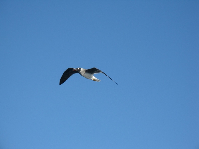 IMG_6472.JPG