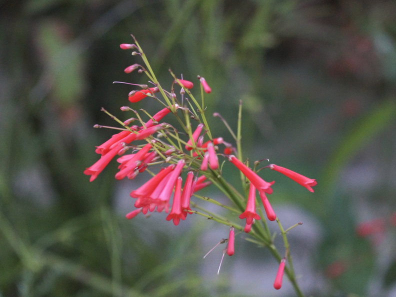 DSC01840
