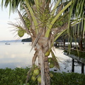 DSC01850