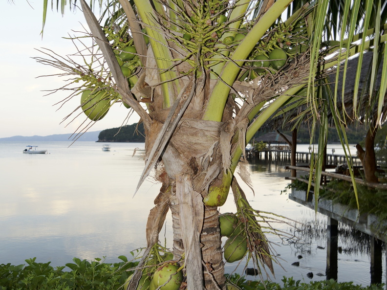 DSC01850