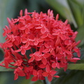 DSC01856