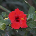 DSC01857