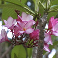 DSC01859
