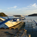 DSC01865