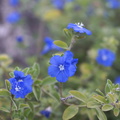 DSC01879