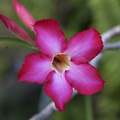 DSC01887