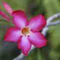 DSC01888
