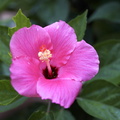 DSC01889