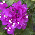 DSC01890