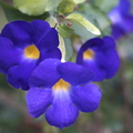 DSC01891