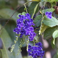 DSC01895