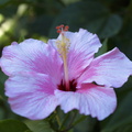 DSC01923