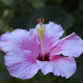 DSC01924