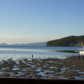 DSC01939