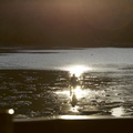 DSC01968