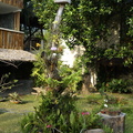 DSC02003