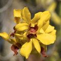 DSC02005