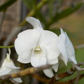 DSC02008