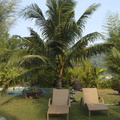 DSC02018