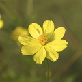 DSC02021