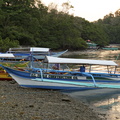 DSC02031