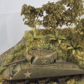 DSC00507