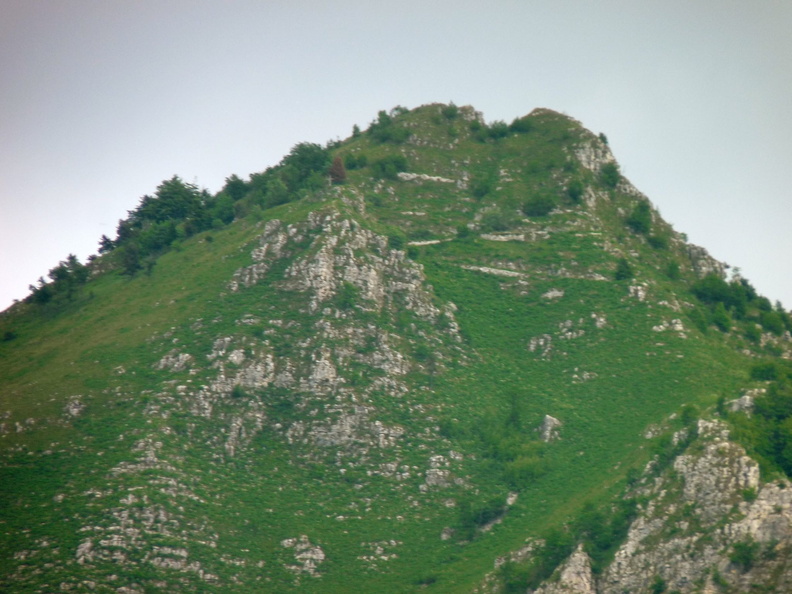 P1000813