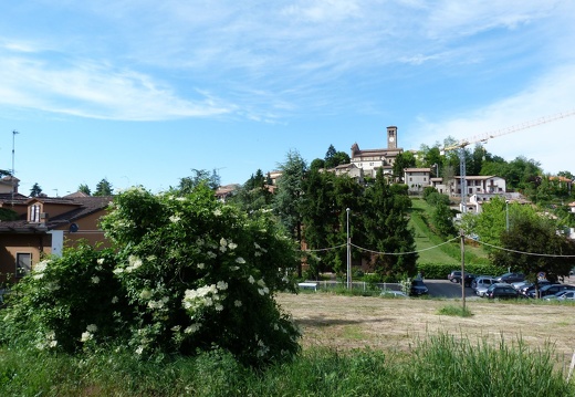 P1000671
