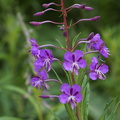 DSC02208