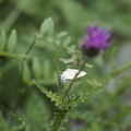 DSC02213