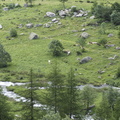 DSC02214