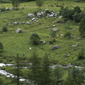 DSC02215