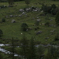 DSC02219
