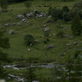 DSC02228