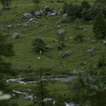 DSC02230