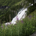 DSC02251