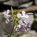 DSC02282
