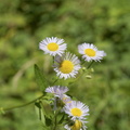 DSC02291