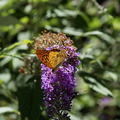 DSC02304