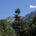 DSC02346