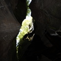 DSC02358