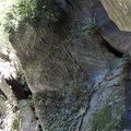 DSC02363