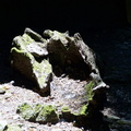 DSC02371