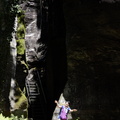 DSC02381