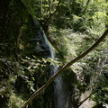 DSC02387